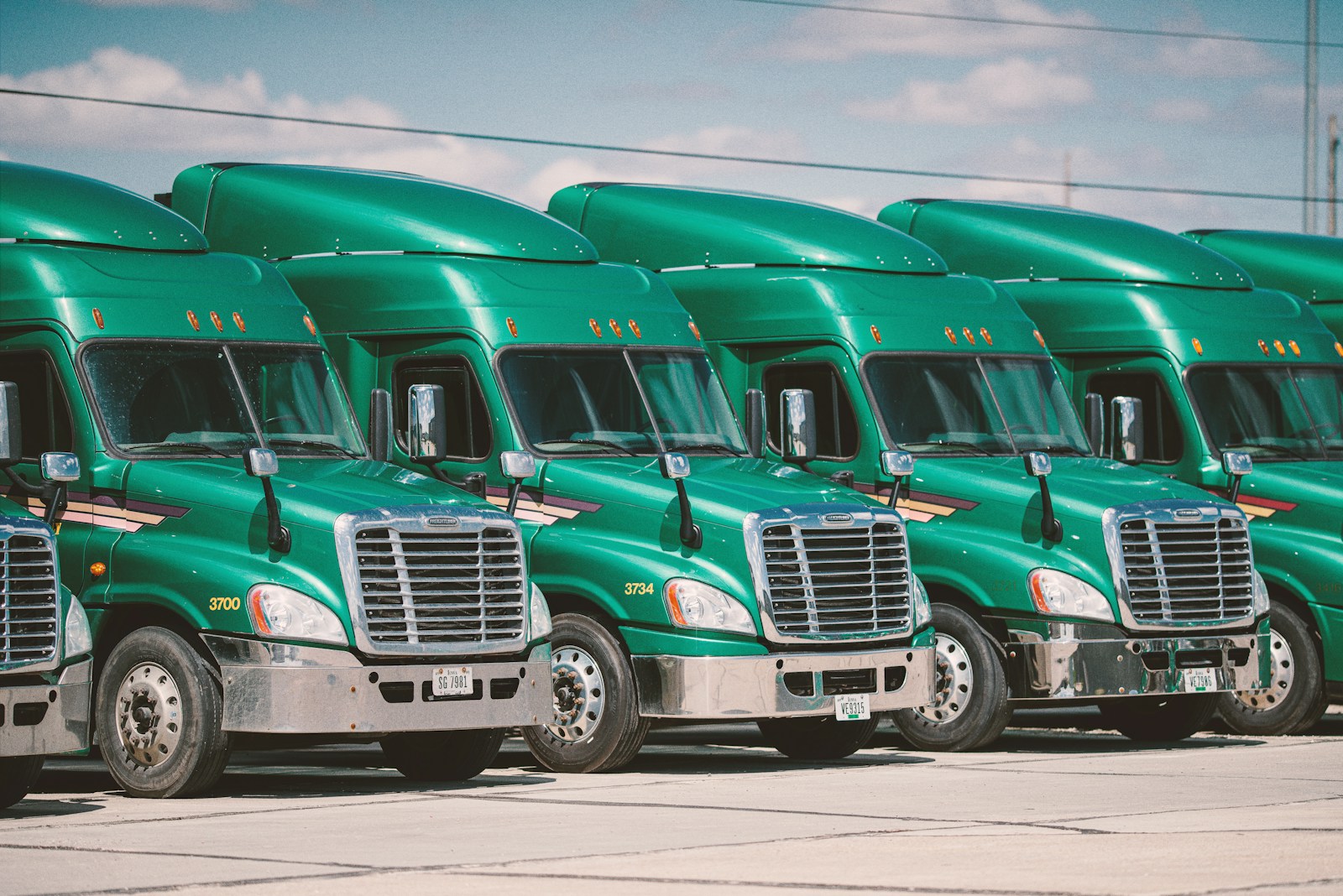 green and white vintage truck in